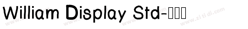 William Display Std字体转换